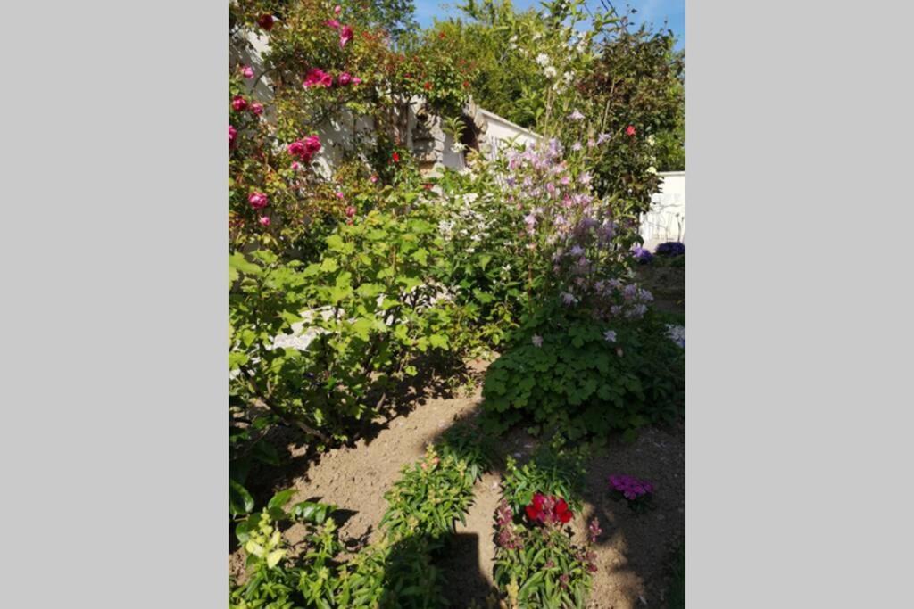 La Roseliere Maison Plain Pied Confortable Belle Decoration Jardin Magnifique 10 Mn A Pied Centre Ville Bayeux Proche Plages Du Debarquement Екстер'єр фото