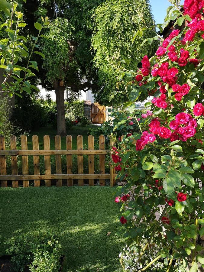 La Roseliere Maison Plain Pied Confortable Belle Decoration Jardin Magnifique 10 Mn A Pied Centre Ville Bayeux Proche Plages Du Debarquement Екстер'єр фото